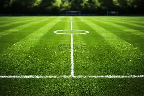 马库斯收到,非国礼瓷惊,价值远胜国,米兰,MiLan,米兰体育官网,米兰官网,米兰体育下载