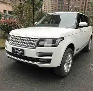 激战正酣,悉尼,对决惠灵顿,米兰,MiLan,米兰体育官网,米兰官网,米兰体育下载